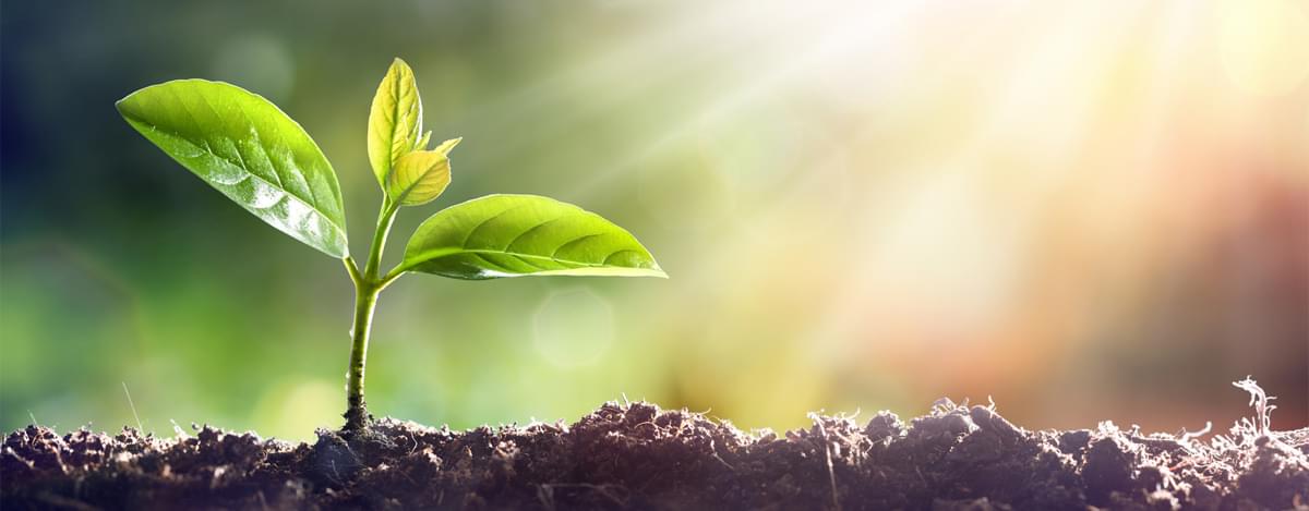 certificare-bio-si-ecologica