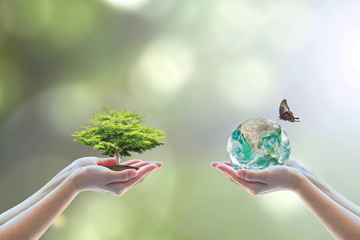 certificare-iso-14001