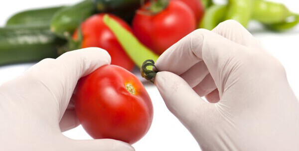 certificare-iso-22000-haccp-siguranta-alimentelor