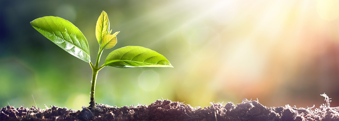 certificare-ecologica-seminar-gratuit-online-modul2